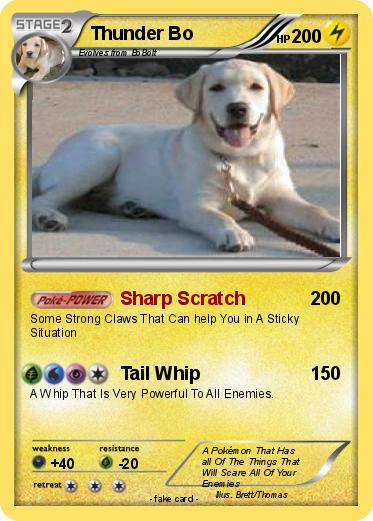 Pokemon Thunder Bo