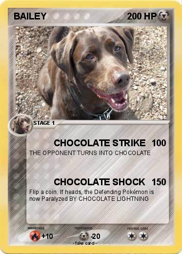 Pokemon BAILEY