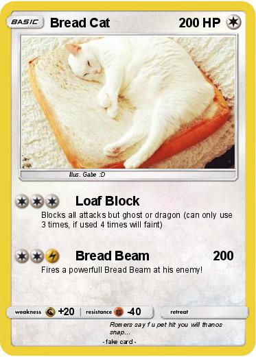 Pokemon Bread Cat
