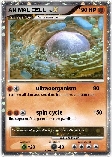 Pokemon ANIMAL CELL