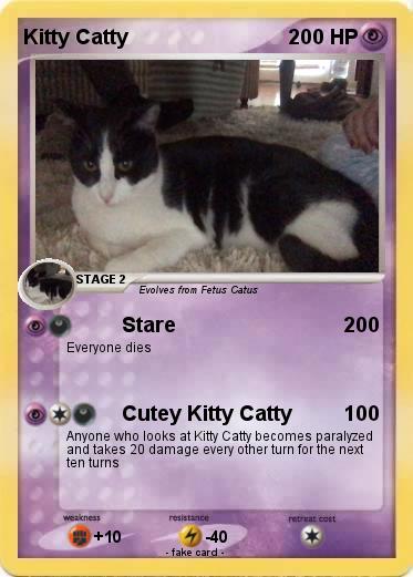 Pokemon Kitty Catty