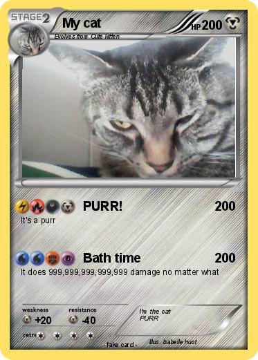 Pokemon My cat