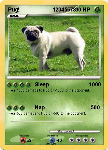 Pokemon Pug!                      12345678