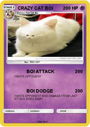 Pokemon CRAZY CAT BOI