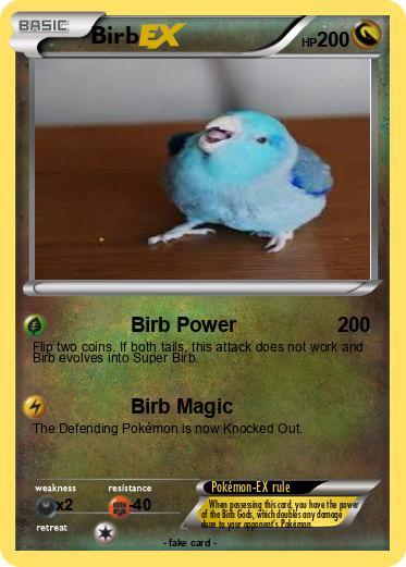 Pokemon Birb