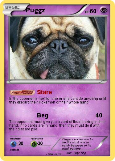 Pokemon Puggz
