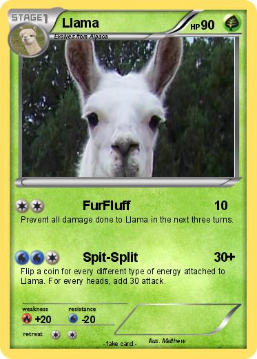 Pokemon Llama