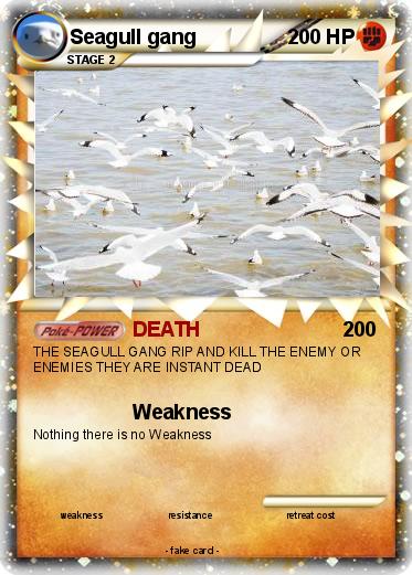 Pokemon Seagull gang