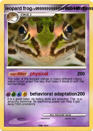 Pokemon leopard frog