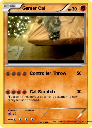 Pokemon Gamer Cat