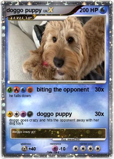 Pokemon doggo puppy