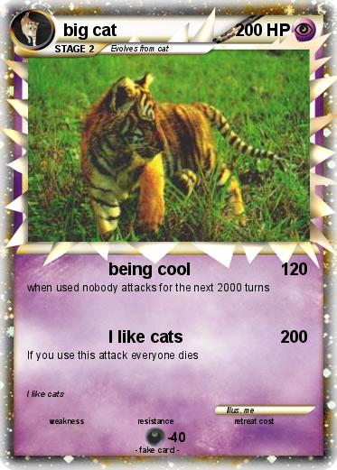Pokemon big cat