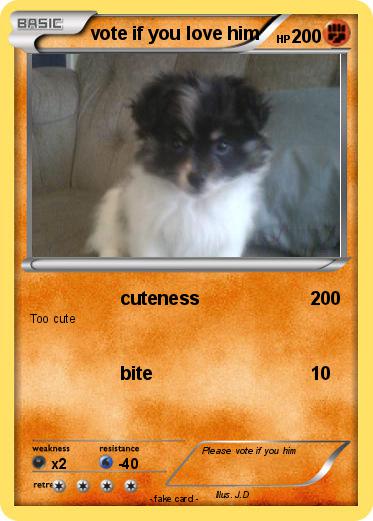 Pokemon vote if you love him