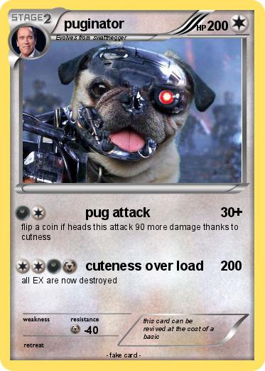 Pokemon puginator