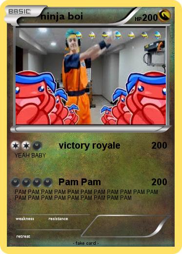 Pokemon ninja boi
