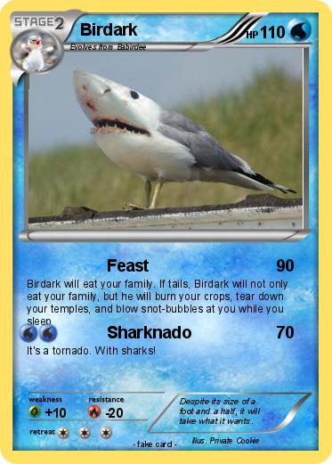 Pokemon Birdark