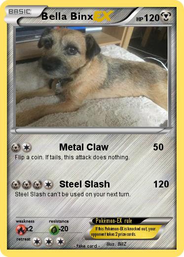 Pokemon Bella Binx