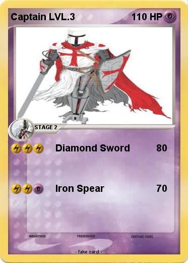 Pokemon Captain LVL.3