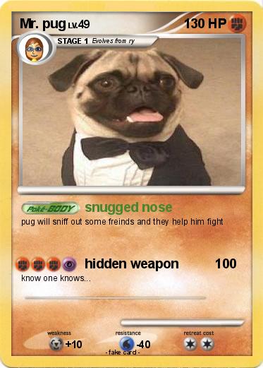 Pokemon Mr. pug