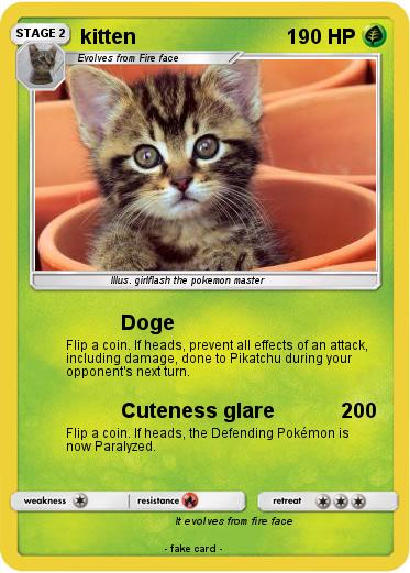 Pokemon kitten