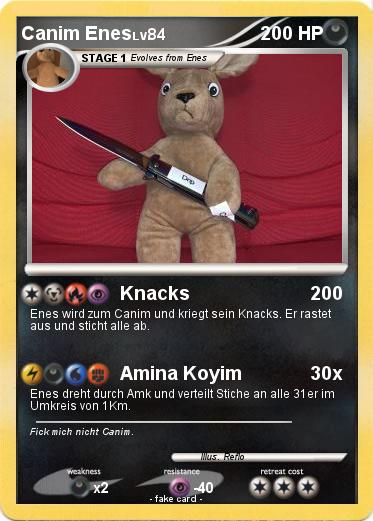 Pokemon Canim Enes