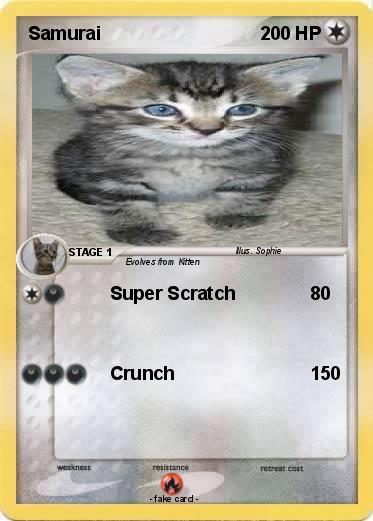 Pokemon Samurai