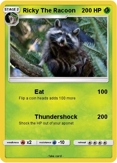 Pokemon Ricky The Racoon