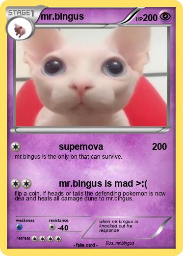 Pokemon mr.bingus