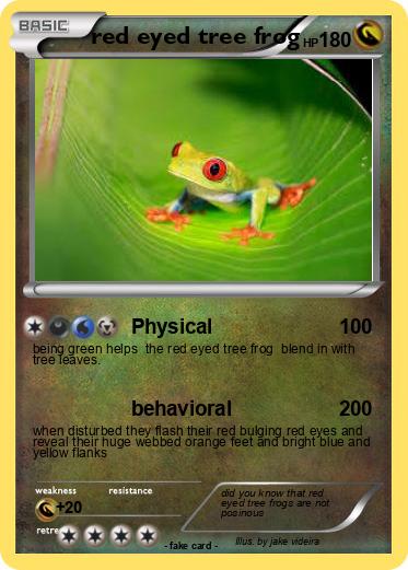Pokemon red eyed tree frog
