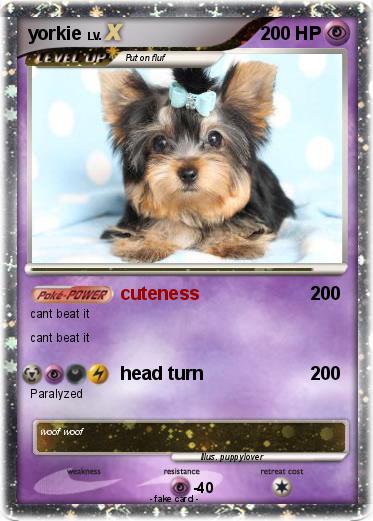 Pokemon yorkie
