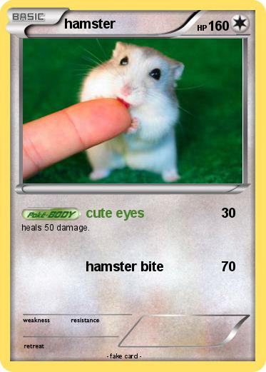 Pokemon hamster