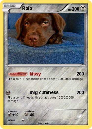 Pokemon Rolo