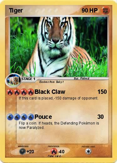 Pokemon Tiger
