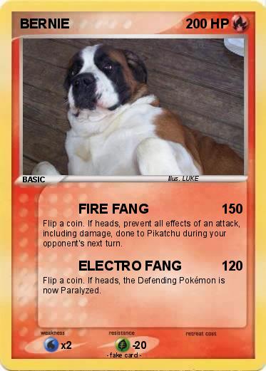 Pokemon BERNIE