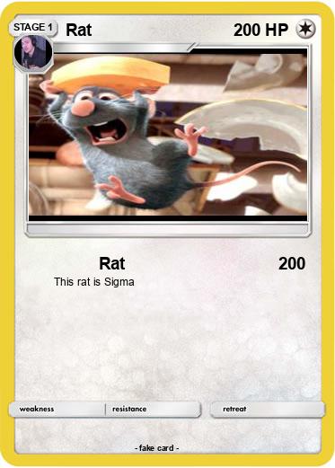 Pokemon Rat