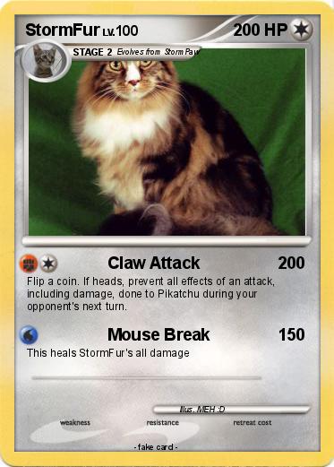 Pokemon StormFur