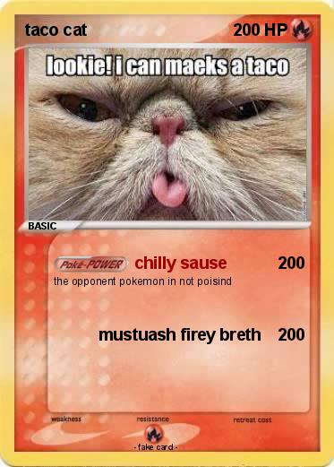 Pokemon taco cat