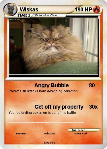 Pokemon Wiskas