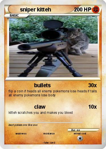 Pokemon sniper kitteh