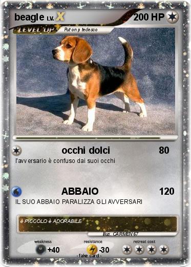 Pokemon beagle