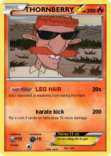 Pokemon THORNBERRY
