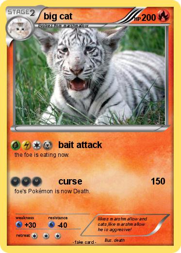Pokemon big cat