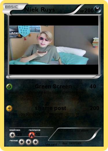Pokemon Niek Ruys