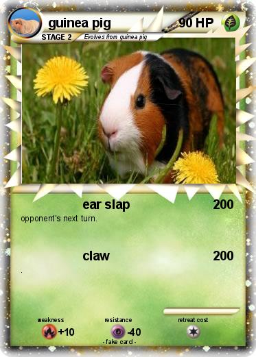 Pokemon guinea pig
