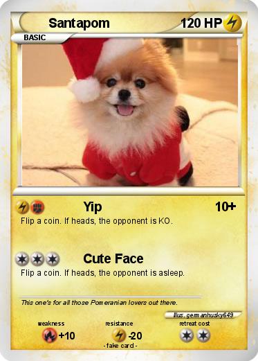 Pokemon Santapom