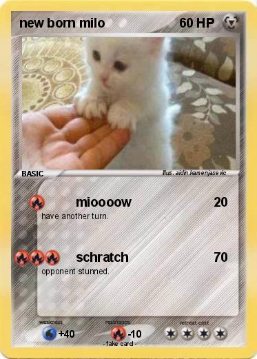 Pokemon new born milo