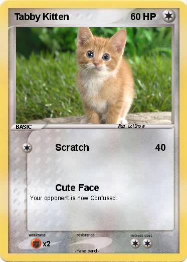Pokemon Tabby Kitten