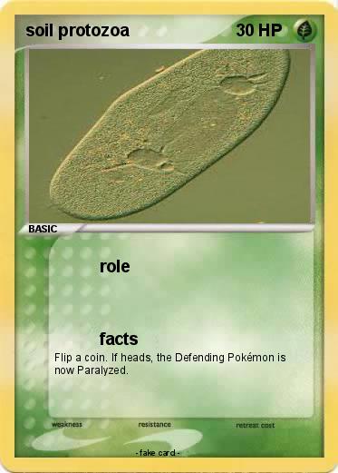 Pokemon soil protozoa