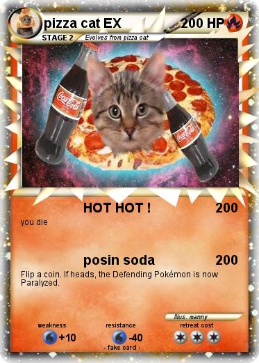 Pokemon pizza cat EX