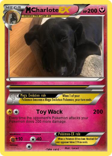 Pokemon Charlote